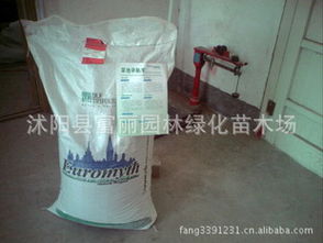 批發草坪種子,草籽,花卉種子 高羊茅,早熟禾,黑麥草,剪股穎 剪圖片及價格 沭陽縣富麗園林綠化苗木場